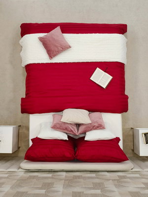 Raspberry Passion Inspiration No. 5